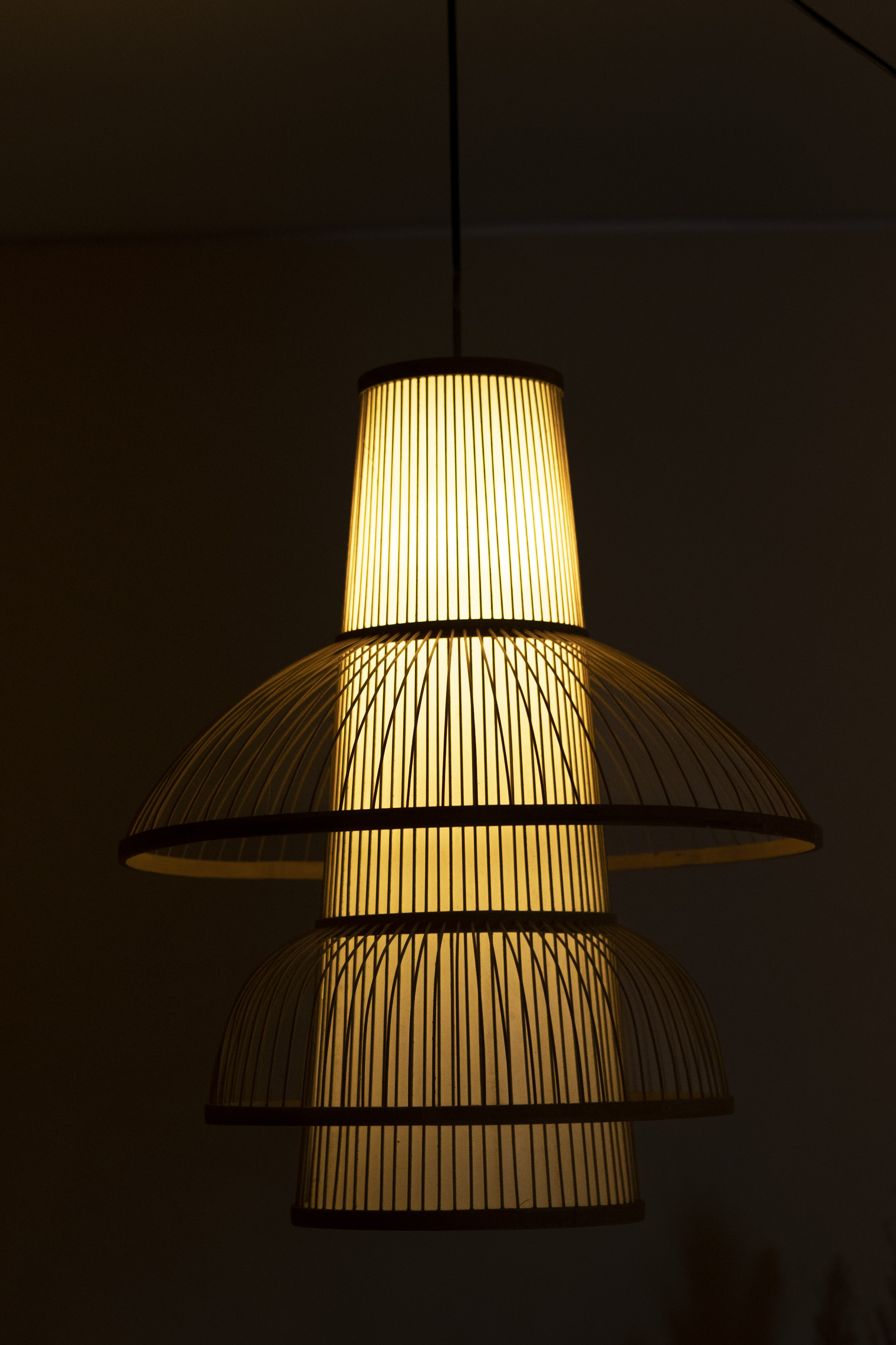 Bamboo Light |  Chandelier Lamp | Hanging light view 2
