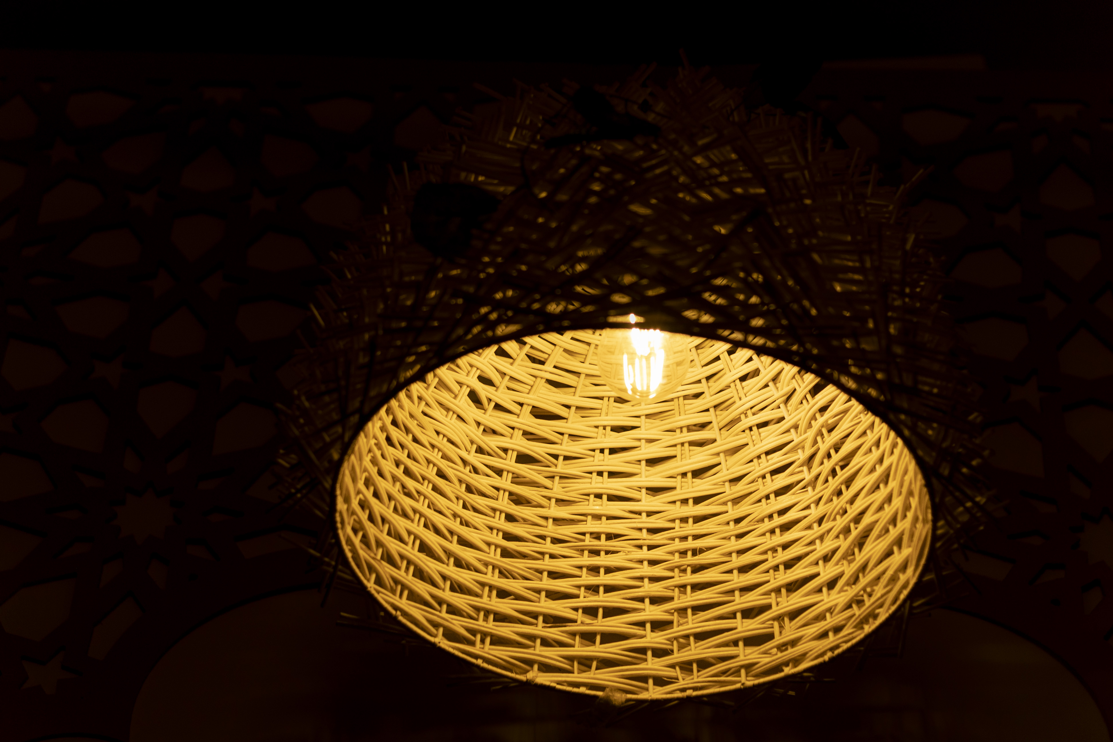 Rattan Stick Light |  Chandelier Lamp | Hanging light view 4