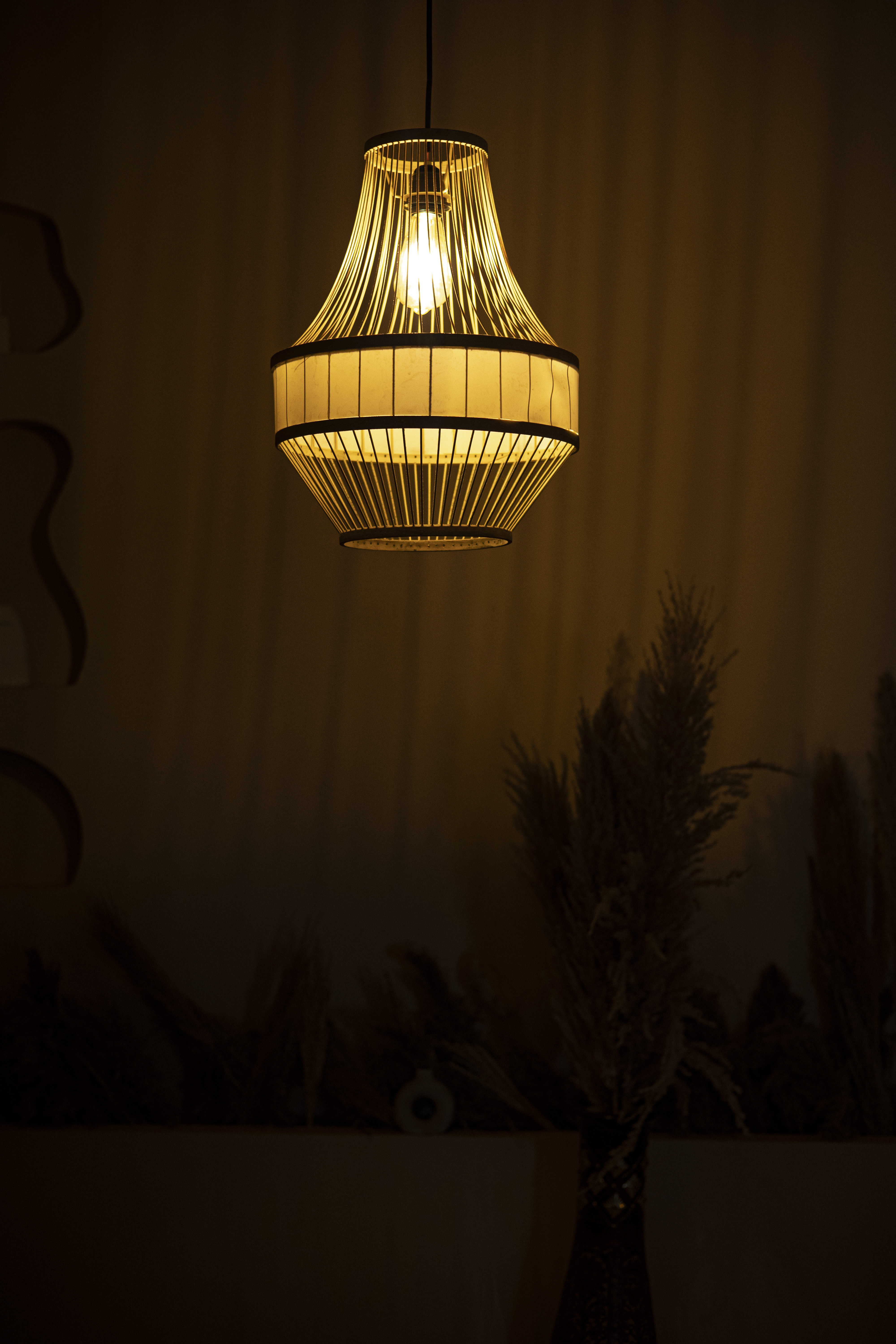 Bamboo Light |  Chandelier Lamp | Hanging light view 2