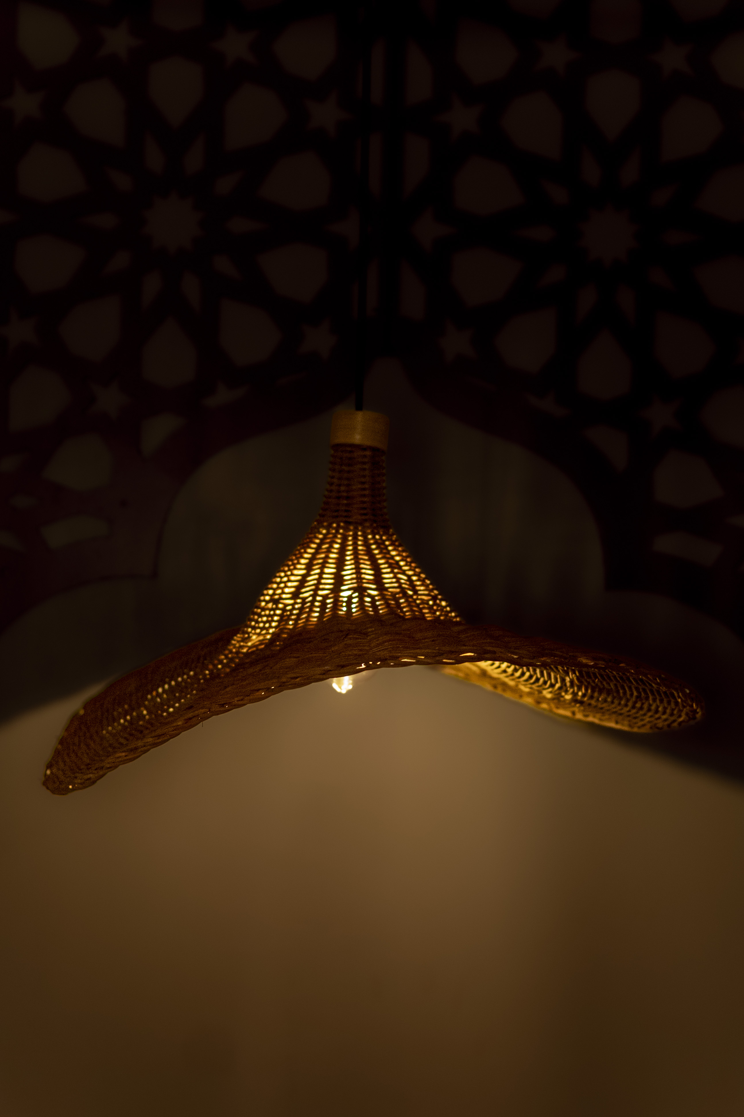 Rattan lampshade |  Chandelier Lamp | Hanging light view 3