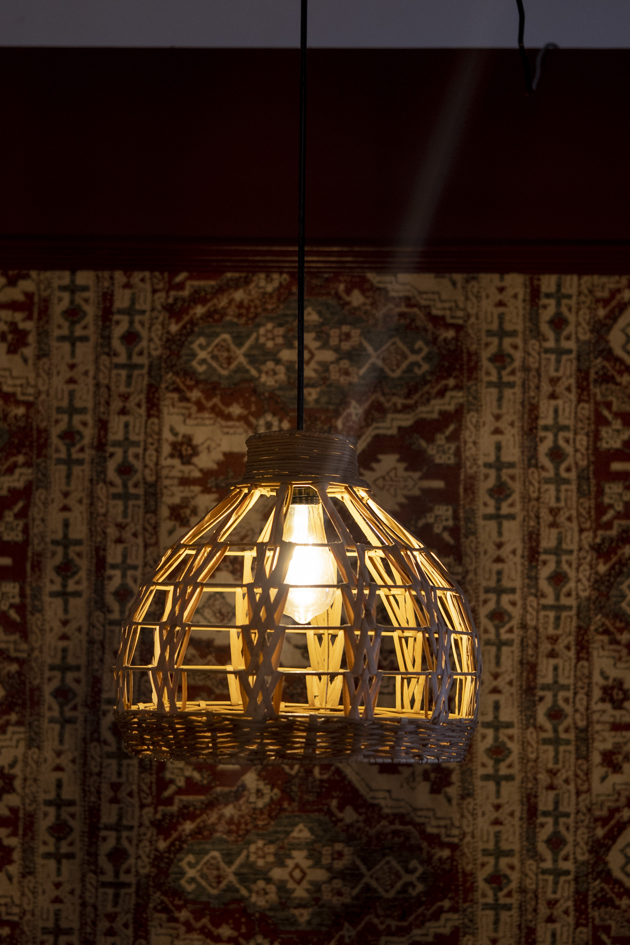 Palm LeafLight |  Chandelier Lamp | Hanging light