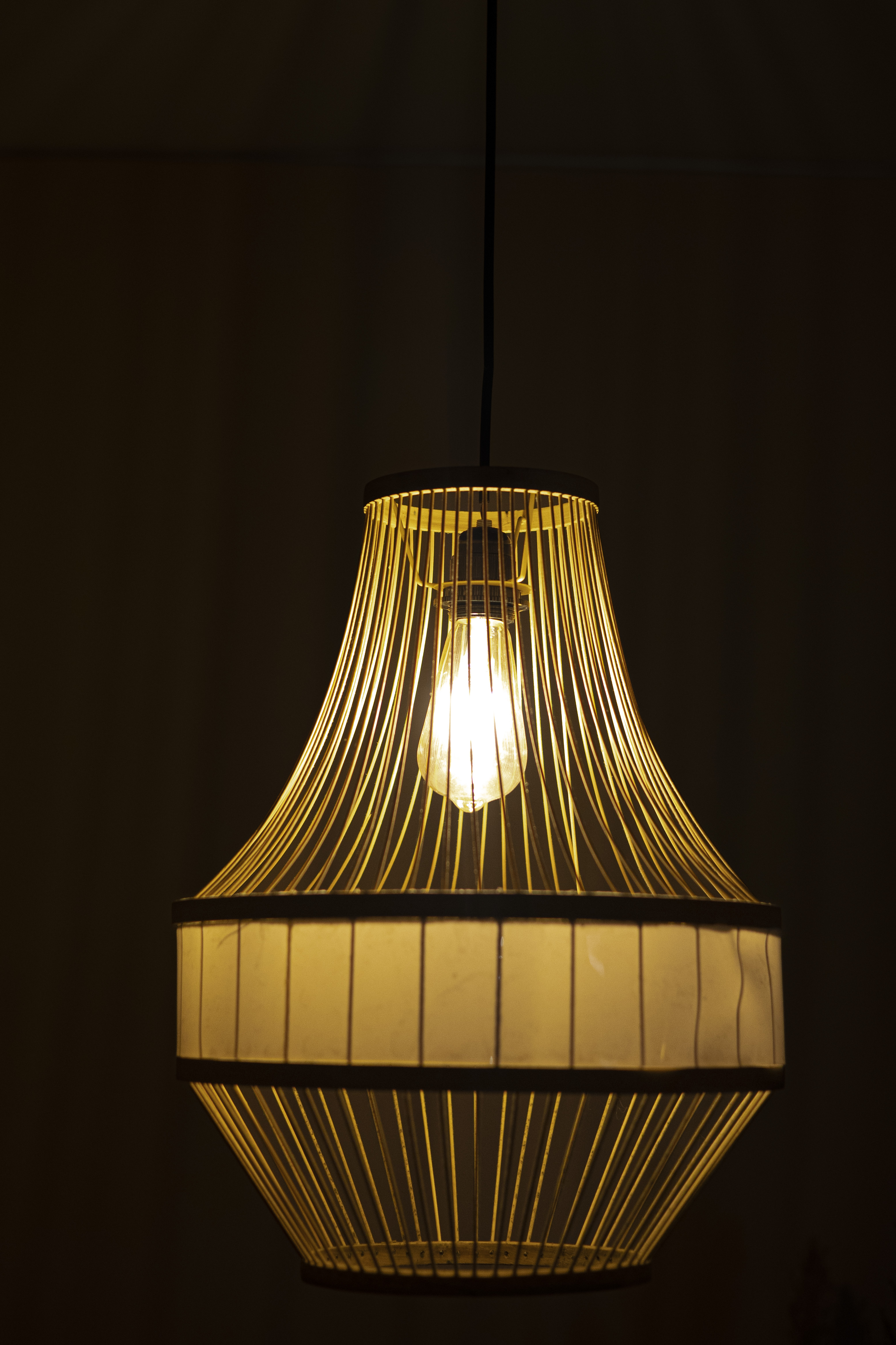 Bamboo Light |  Chandelier Lamp | Hanging light view 4