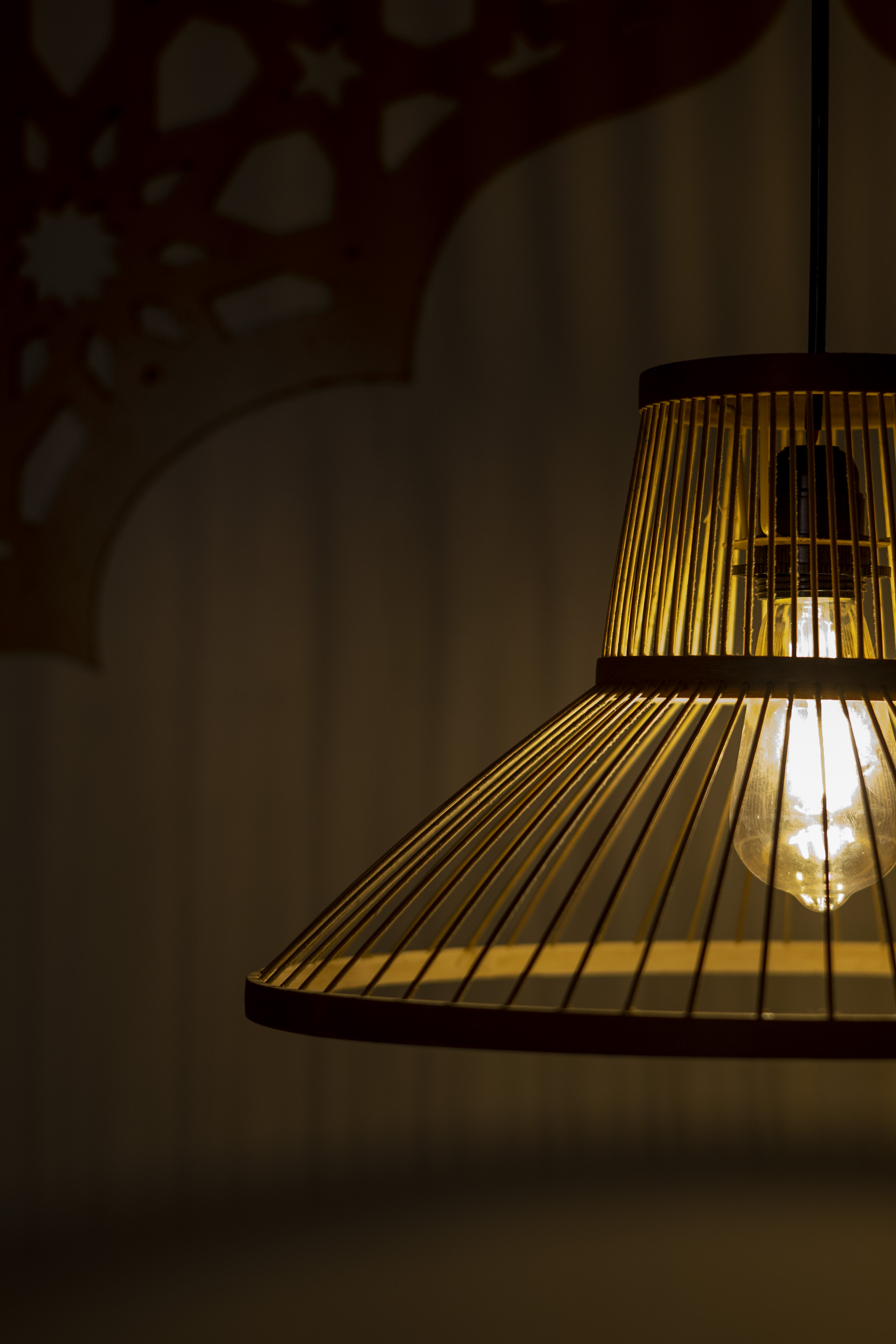 Bamboo Light |  Chandelier Lamp | Hanging light view 3