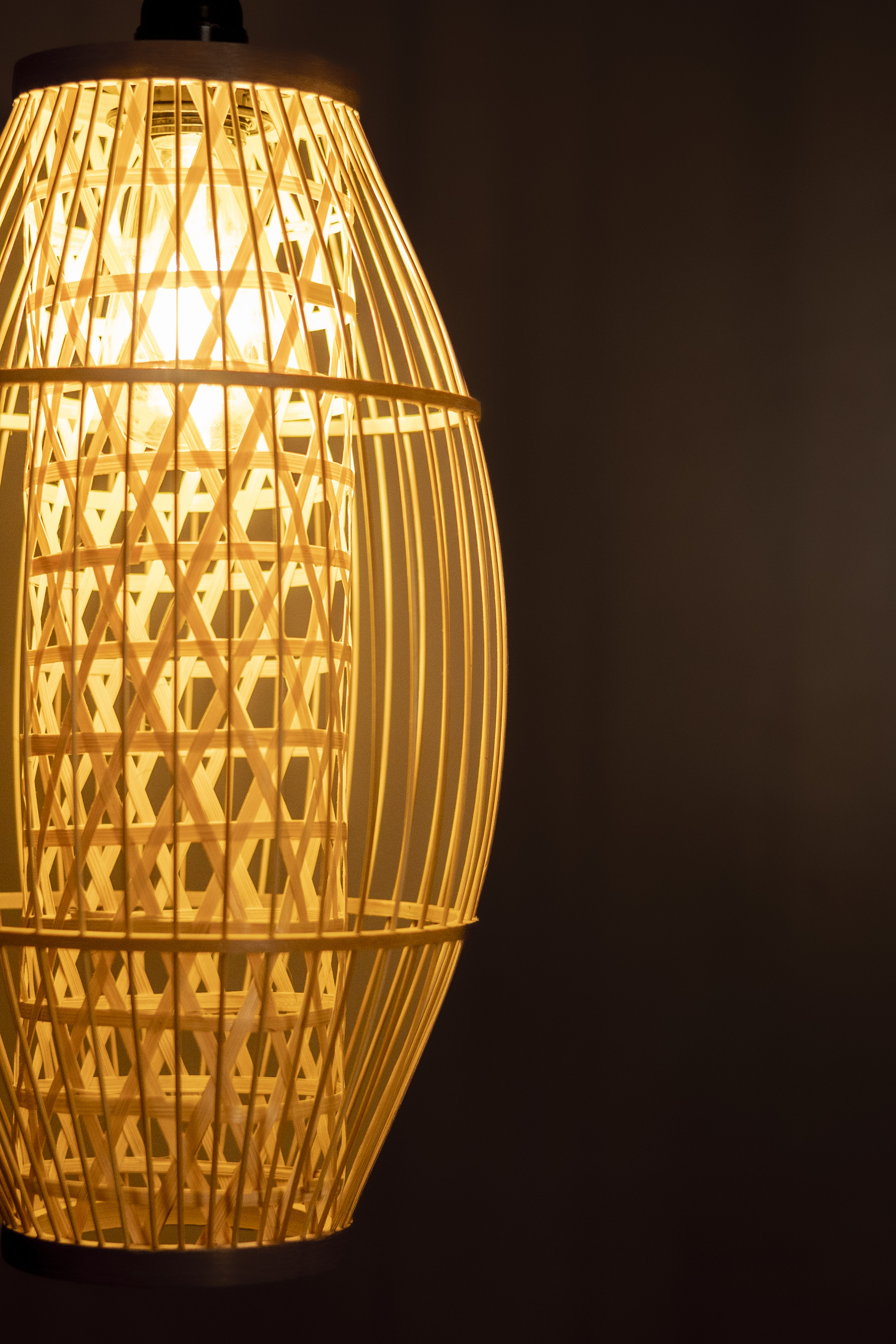 Bamboo Light |  Chandelier Lamp | Hanging light view 2