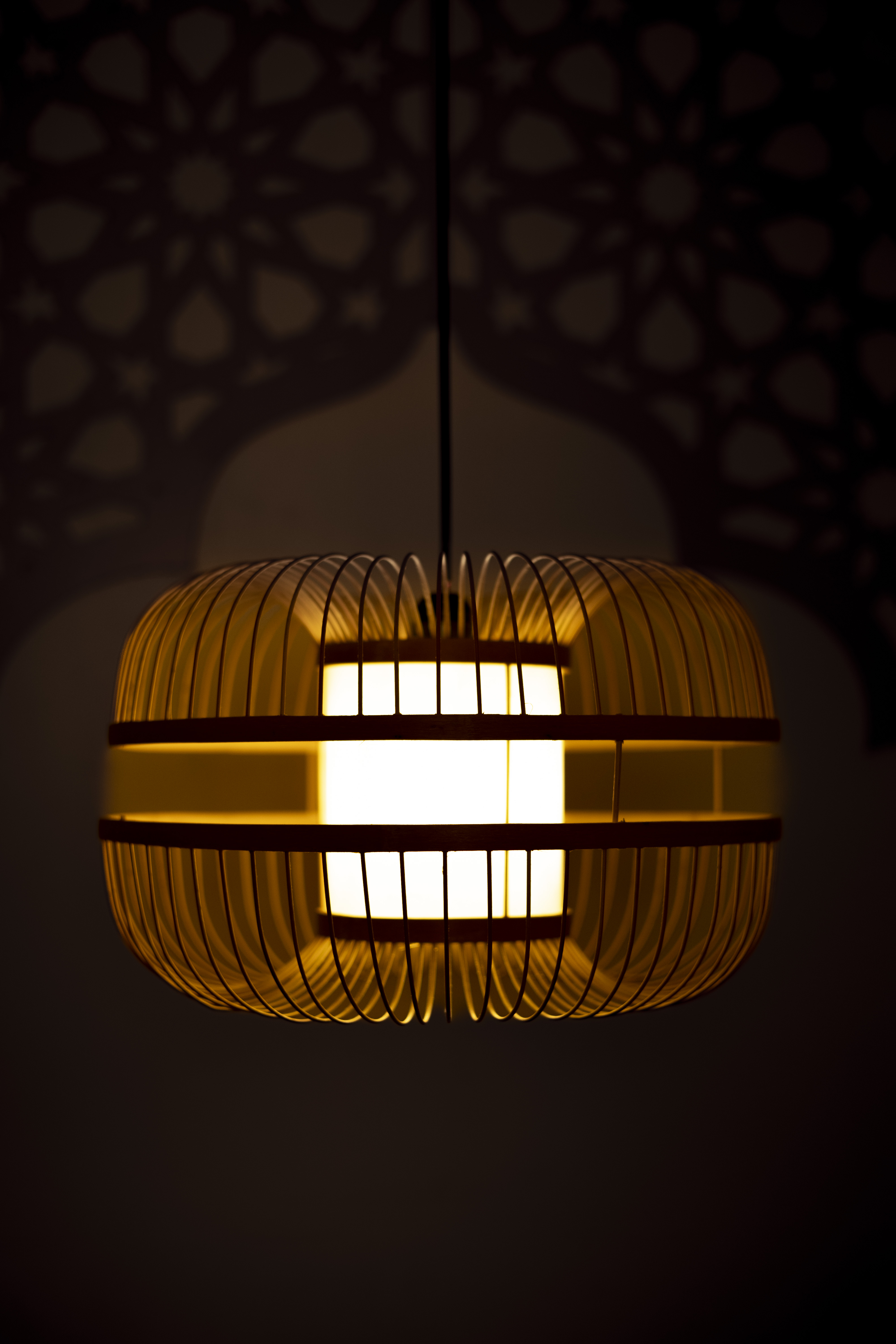 Bamboo Light |  Chandelier Lamp | Hanging light view 3