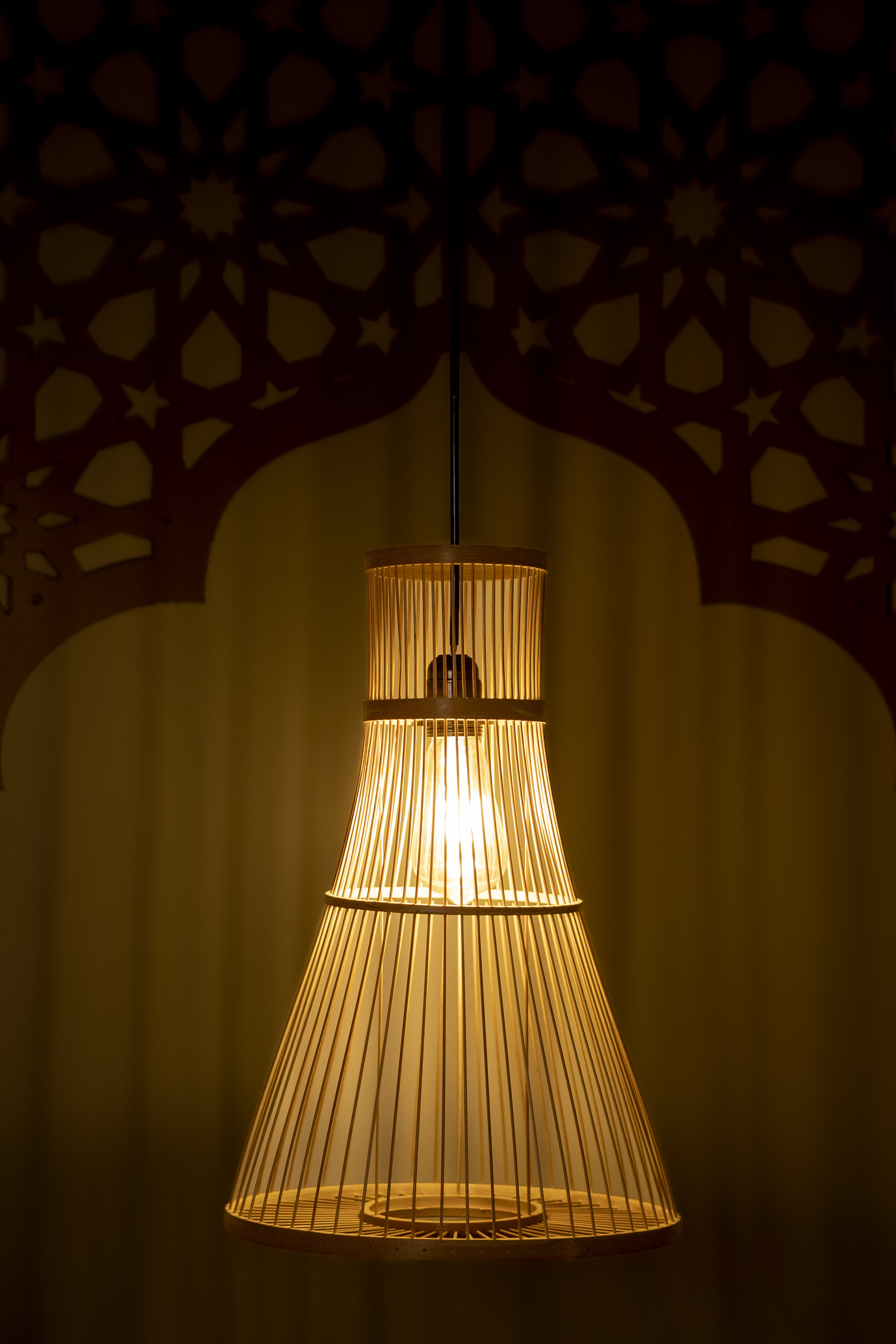 Bamboo Light |  Chandelier Lamp | Hanging light view 2