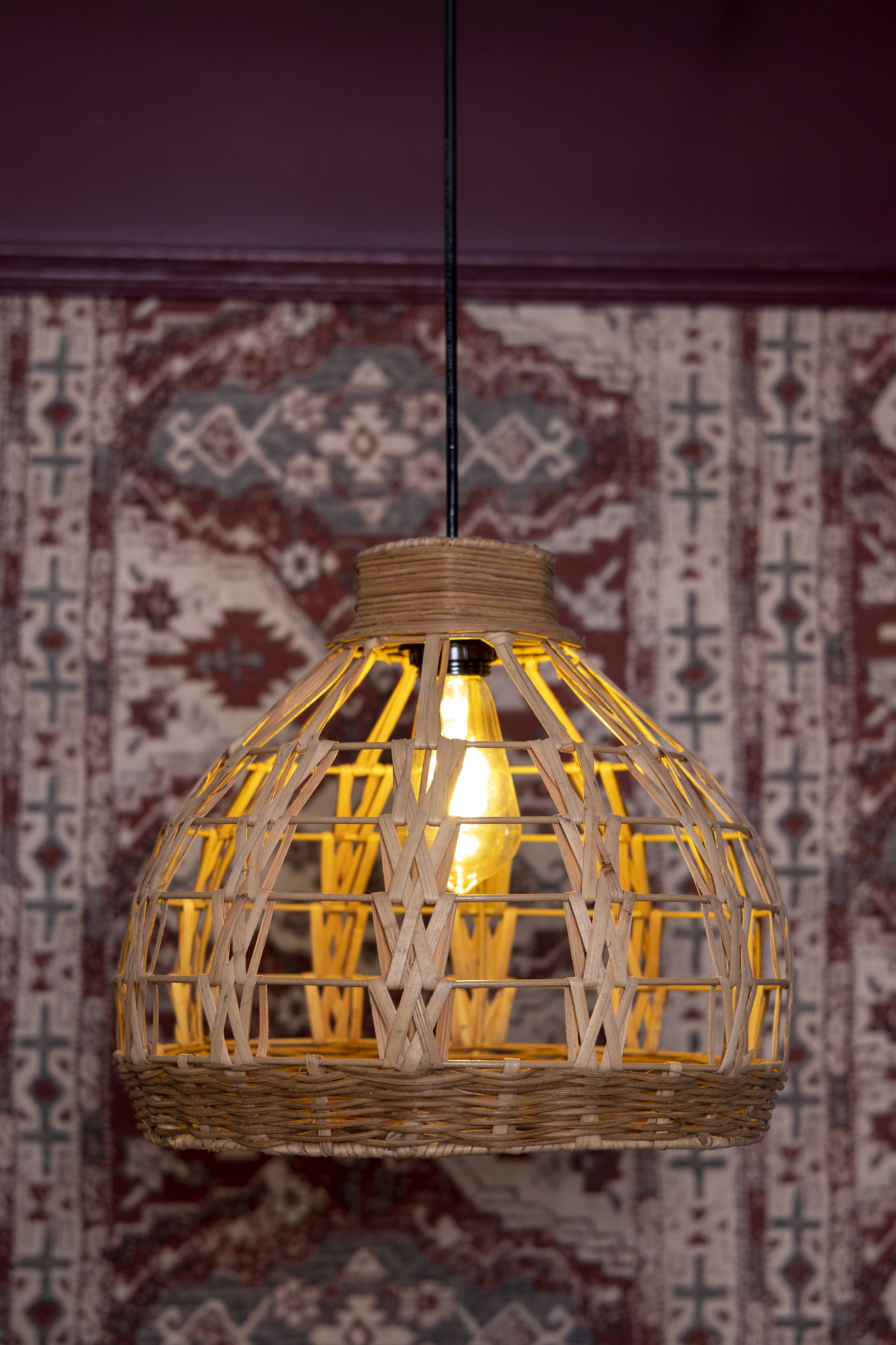 Palm LeafLight |  Chandelier Lamp | Hanging light view 3