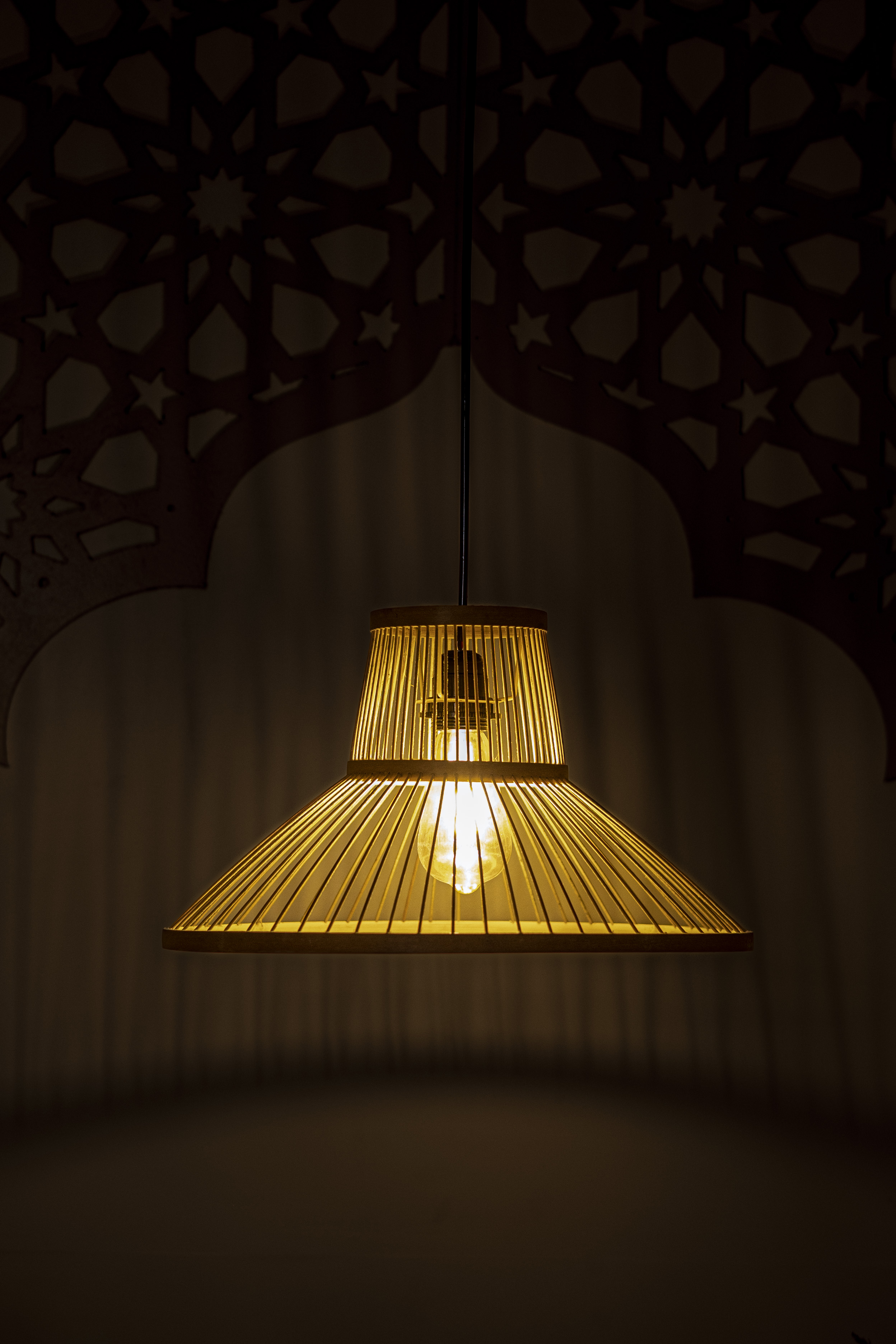 Bamboo Light |  Chandelier Lamp | Hanging light view 2
